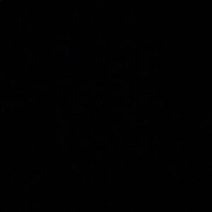 Meet your Posher, Karina